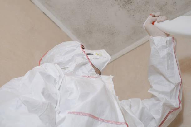 Best Mold Remediation for Schools in Devens, MA